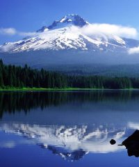 L7 Certified Oregon Drone pilots