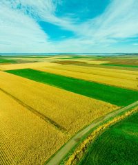 Aerhyve Aerial Technologies – UAV Services | Aerial Data | Aerial Imaging