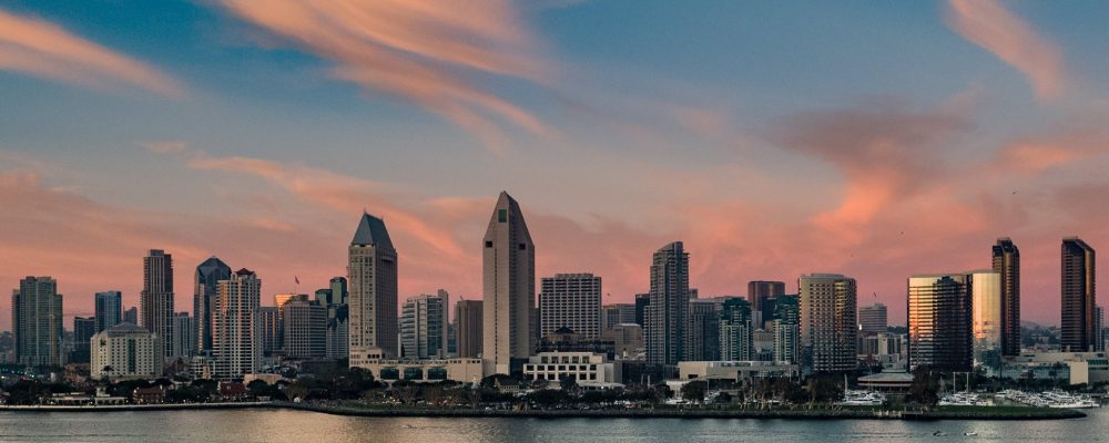 The City Drone Solution